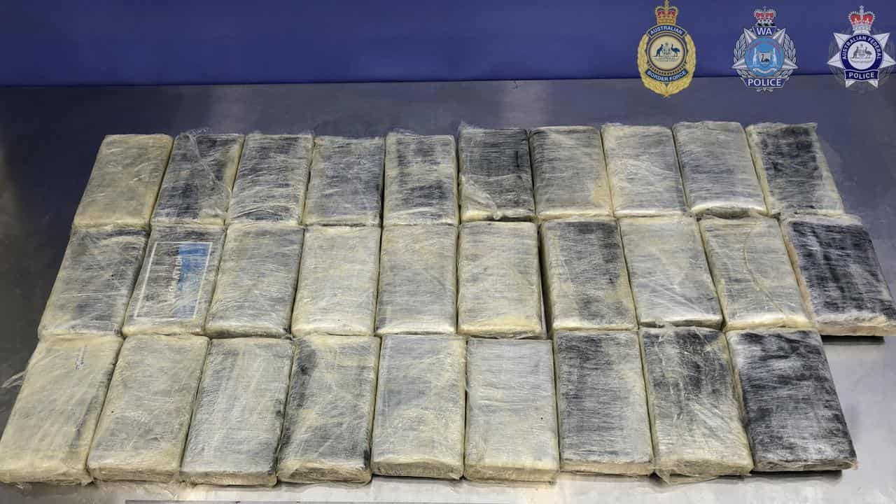 Packages wrapped in plastic alleged to contain cocaine.