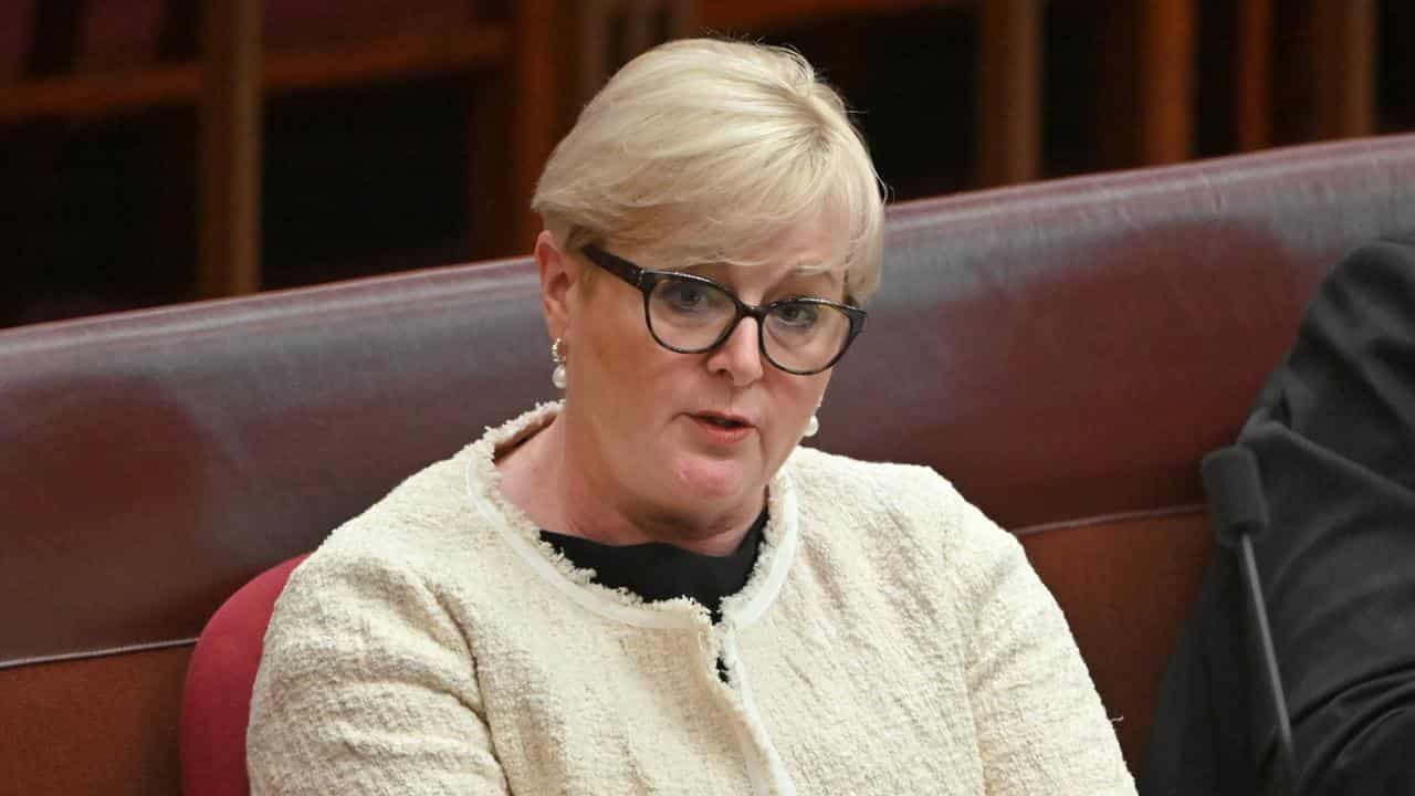 Liberal senator Linda Reynolds (file image)