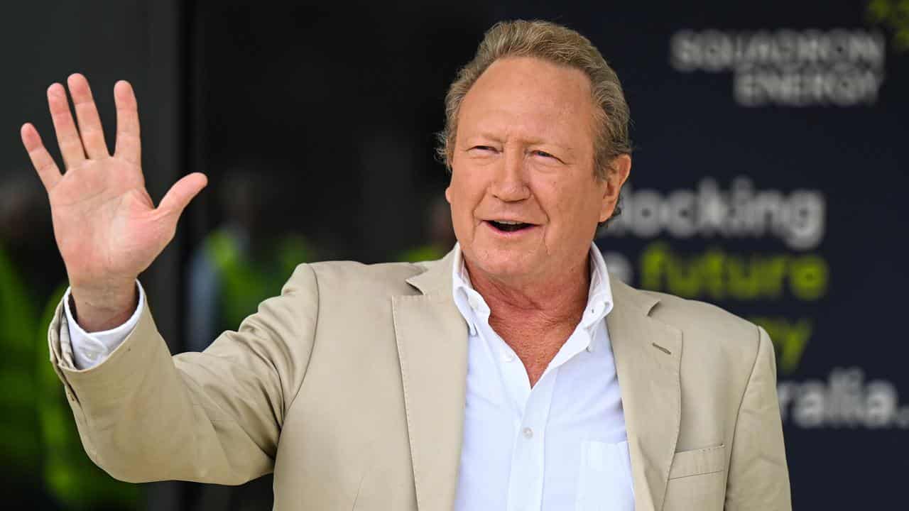 Australian businessman Andrew Forrest (file image)