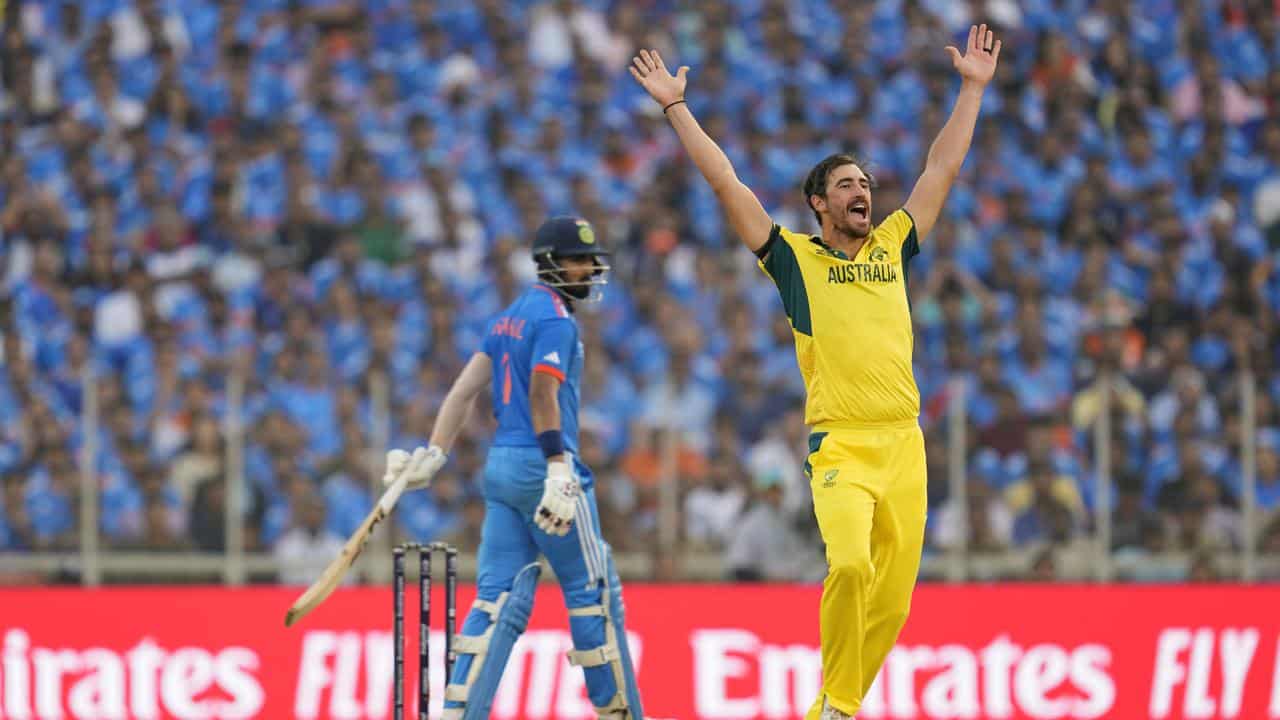 Mitchell Starc (right)