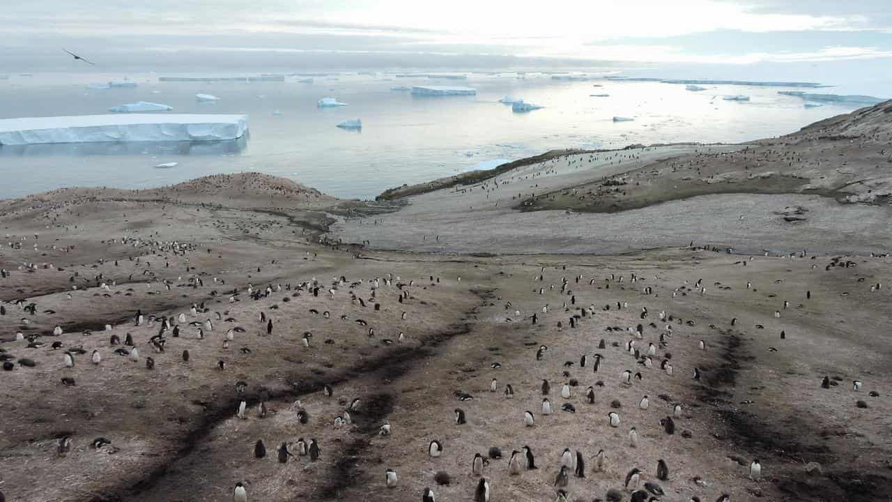 Antarctica's Amundsen Sea