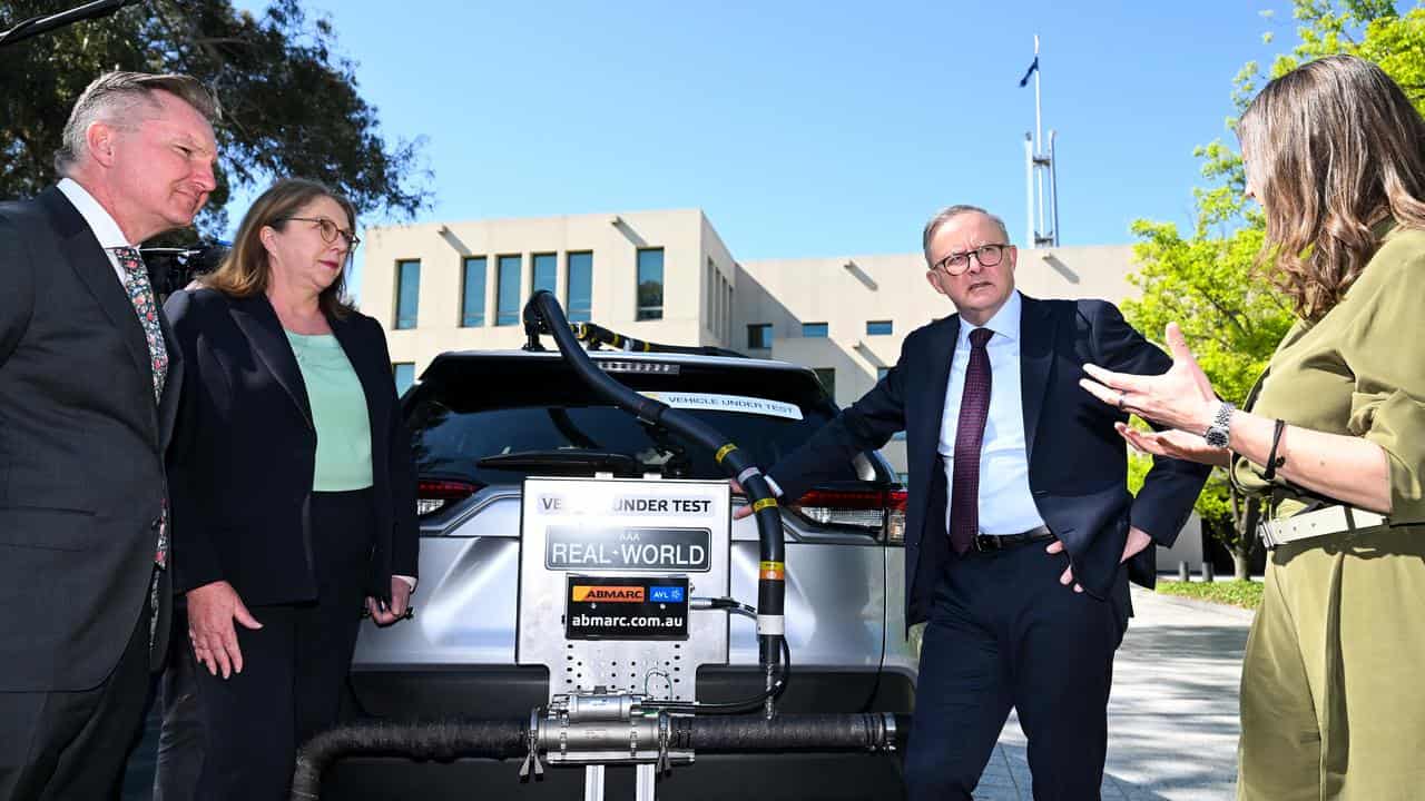 Chris Bowen, Catherine King, Anthony Albanese