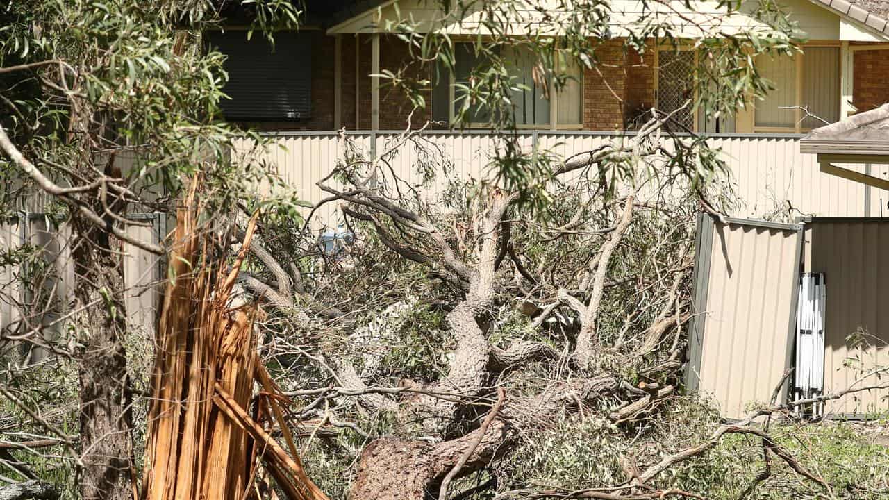 Storm damage on the Gold Coast