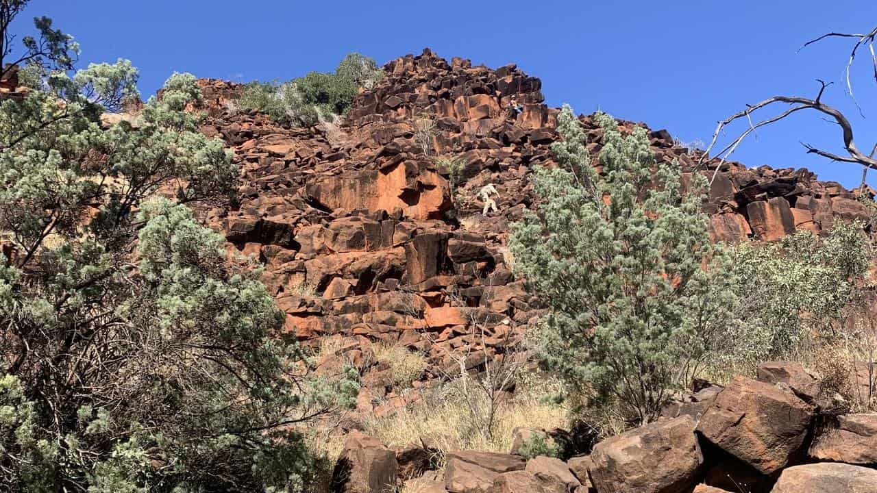 The remote SA region where a new frog species is believed to live. 