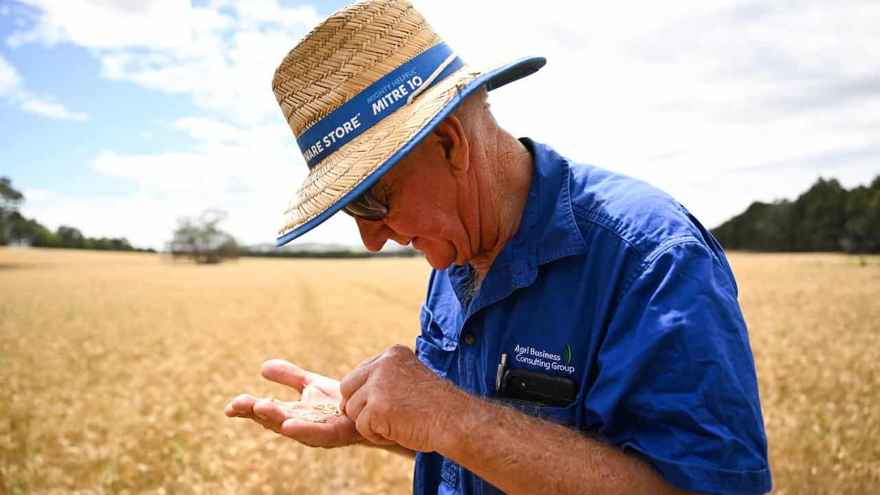 Alan Brown, chair of the NSW Farmers Ag Science Committee.