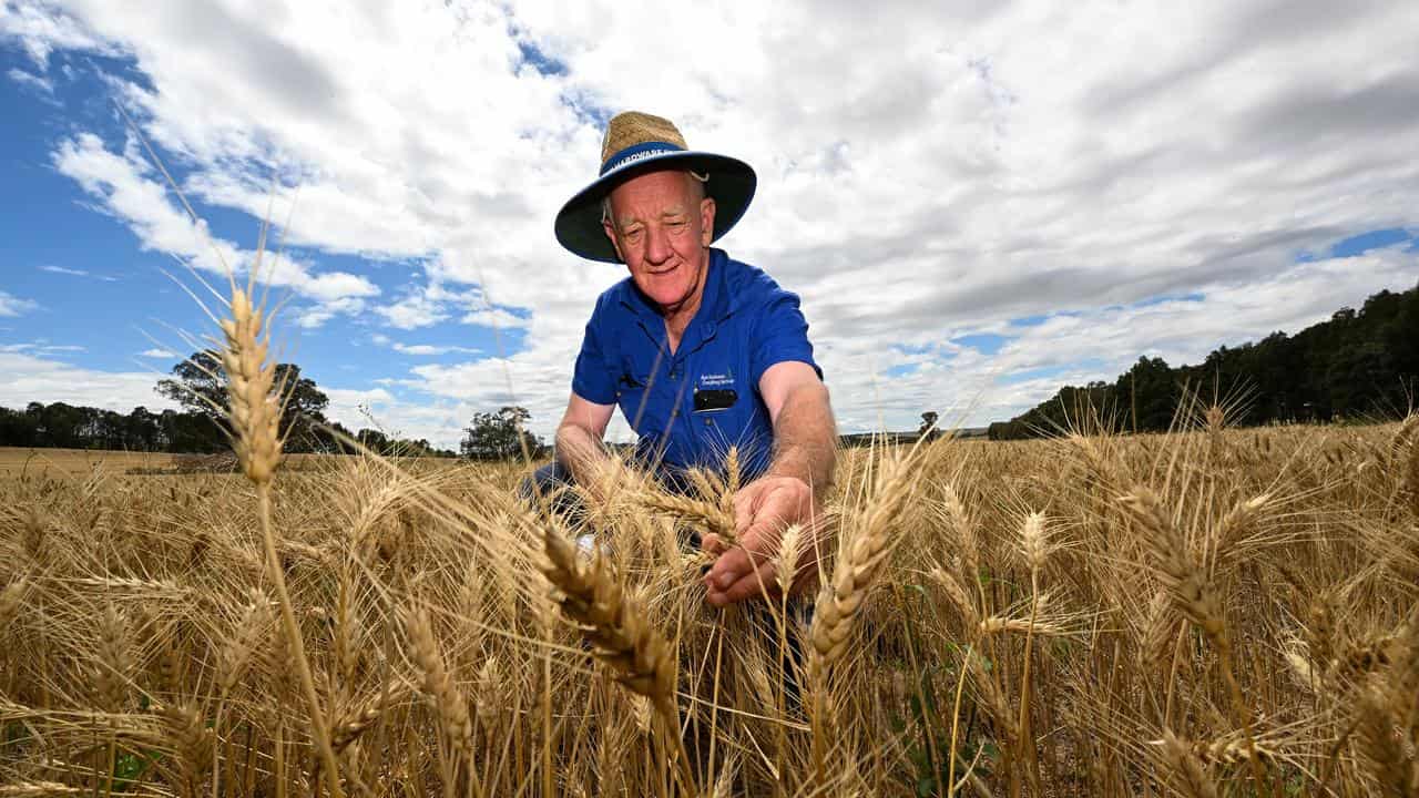 Farmer and consultant Alan Brown.