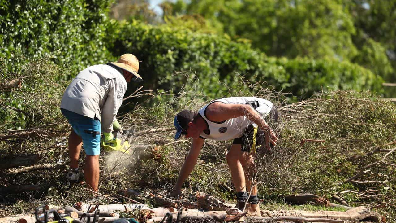 Gold Coast residents removing fallen vegetation after severe storms.