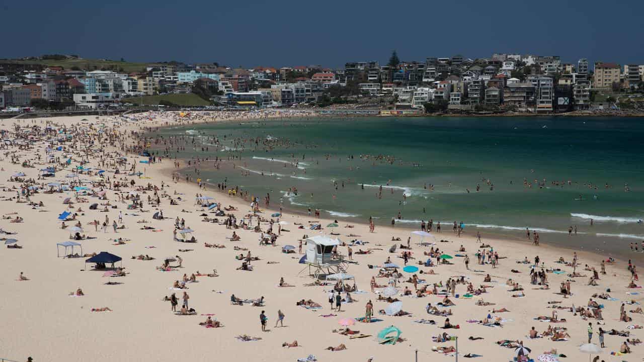 Bondi Beach