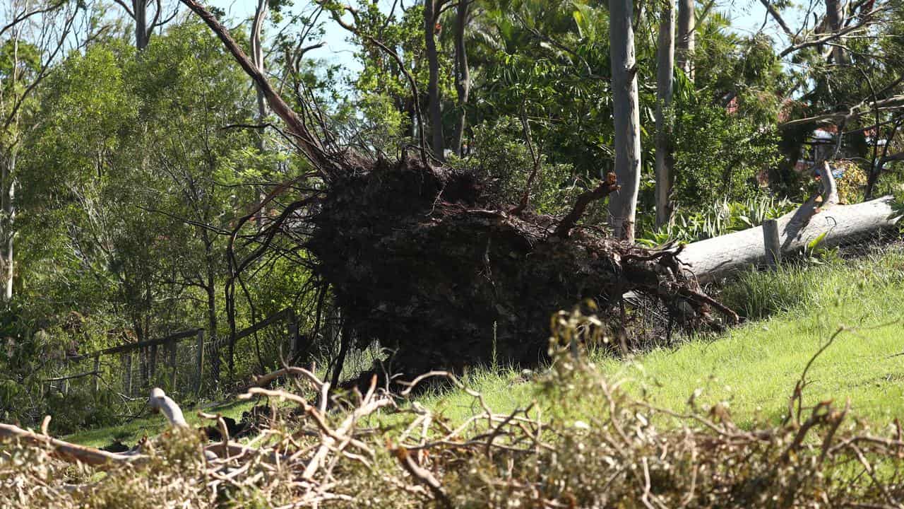 Storm damage on the Gold Coast