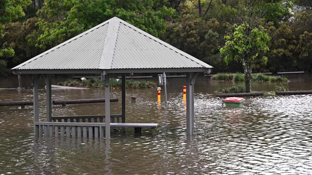 A park under water at Mudgeeraba.