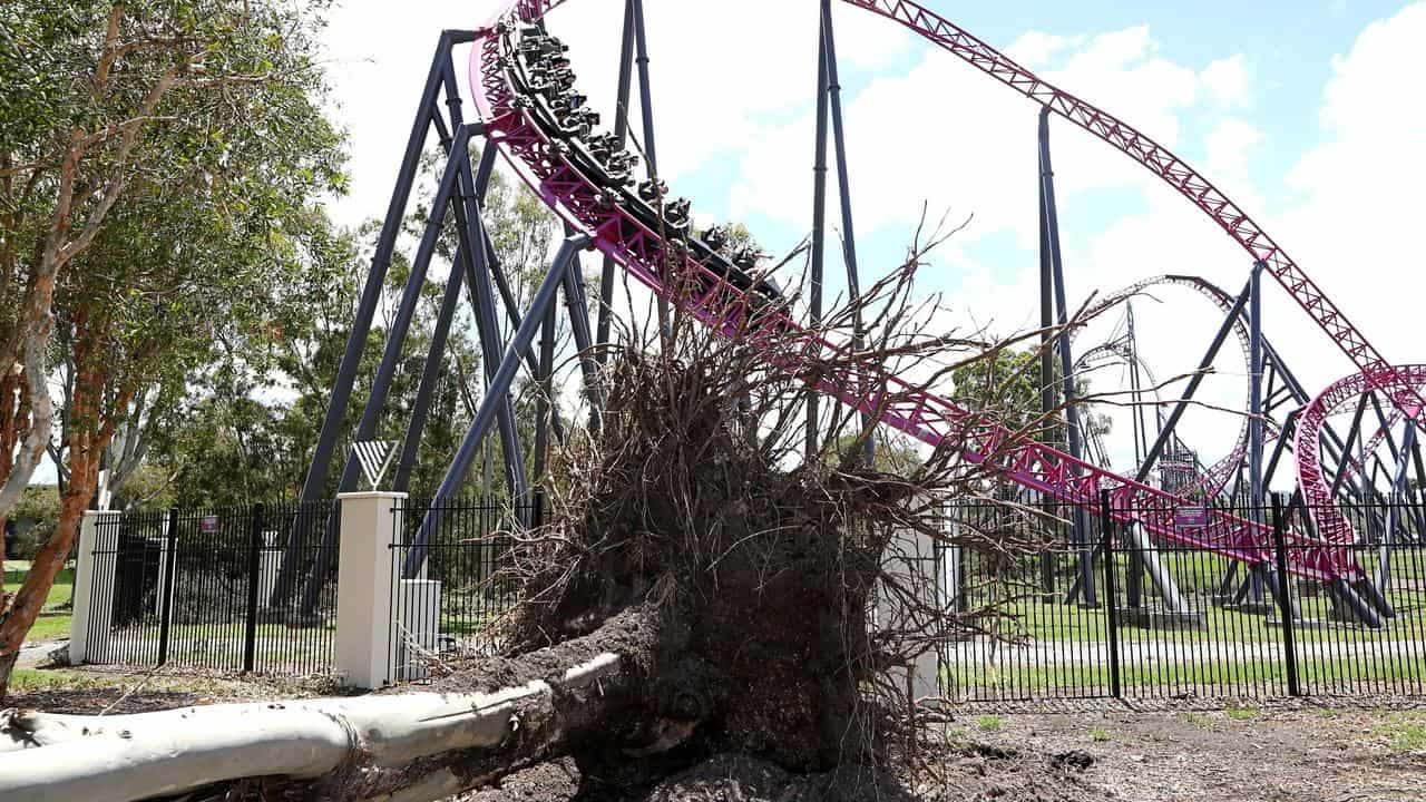 Storm damage is seen  outside Movie World.