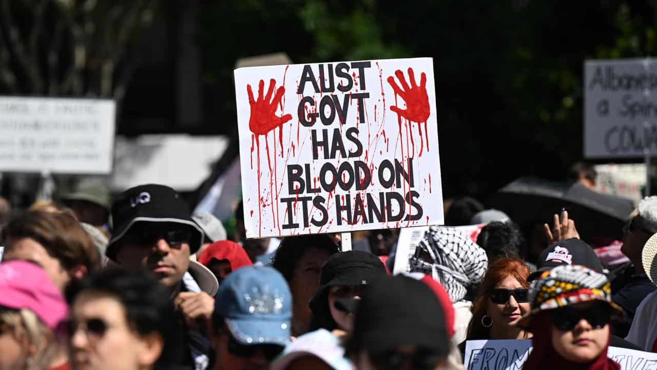 A Pro-Palestine demonstration in Brisbane in November.