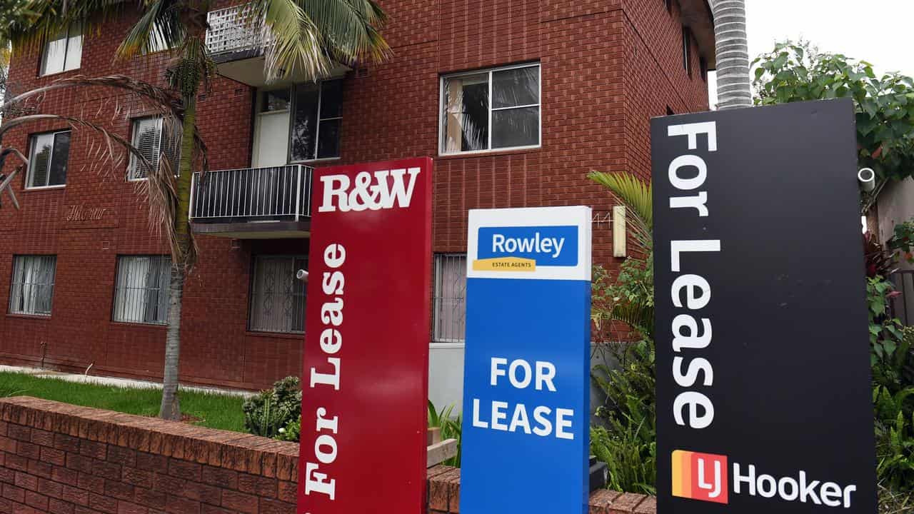 For Lease signs in Sydney.