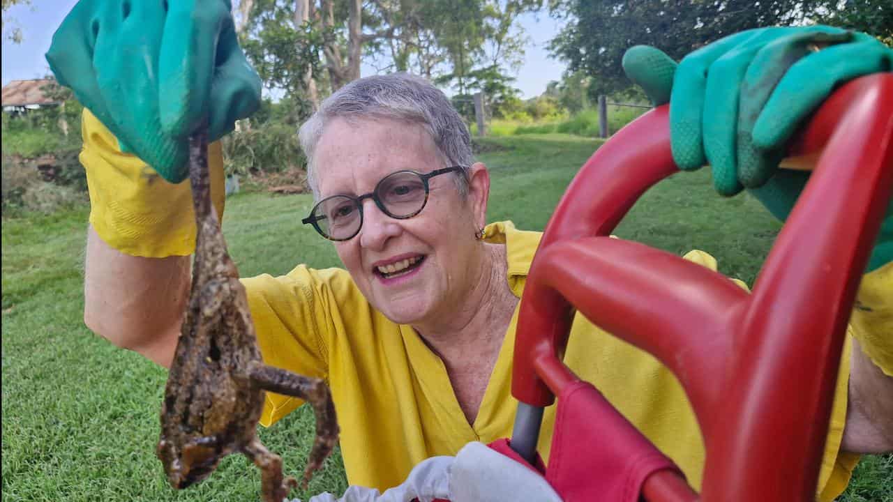 Linda Kimber with cane toad near Boonah