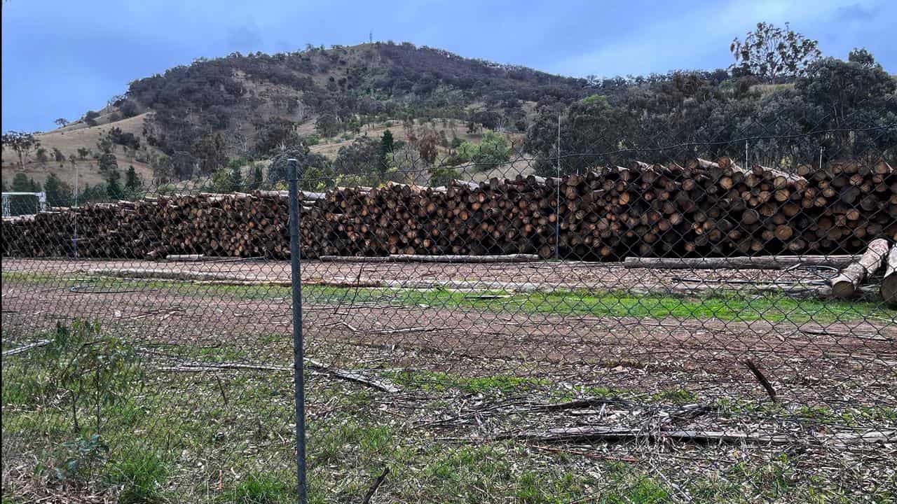 Timber mill in Victoria (file image)