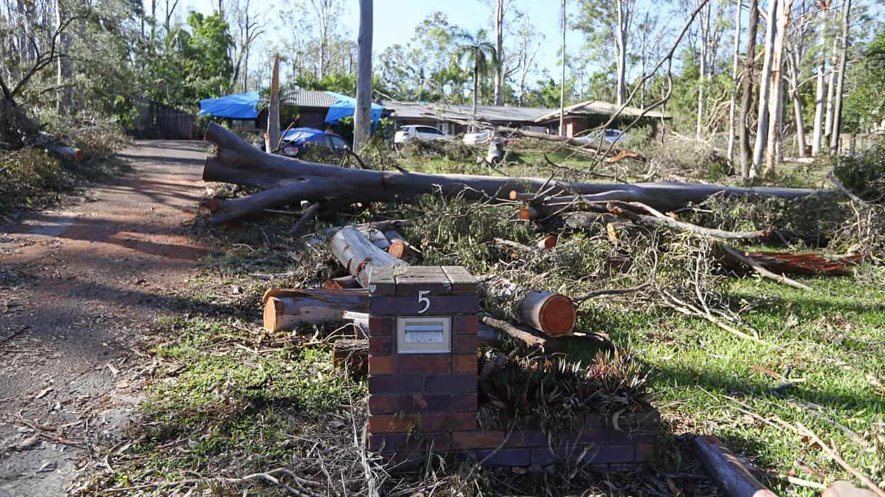 Storm damage is seen in Oxenford 