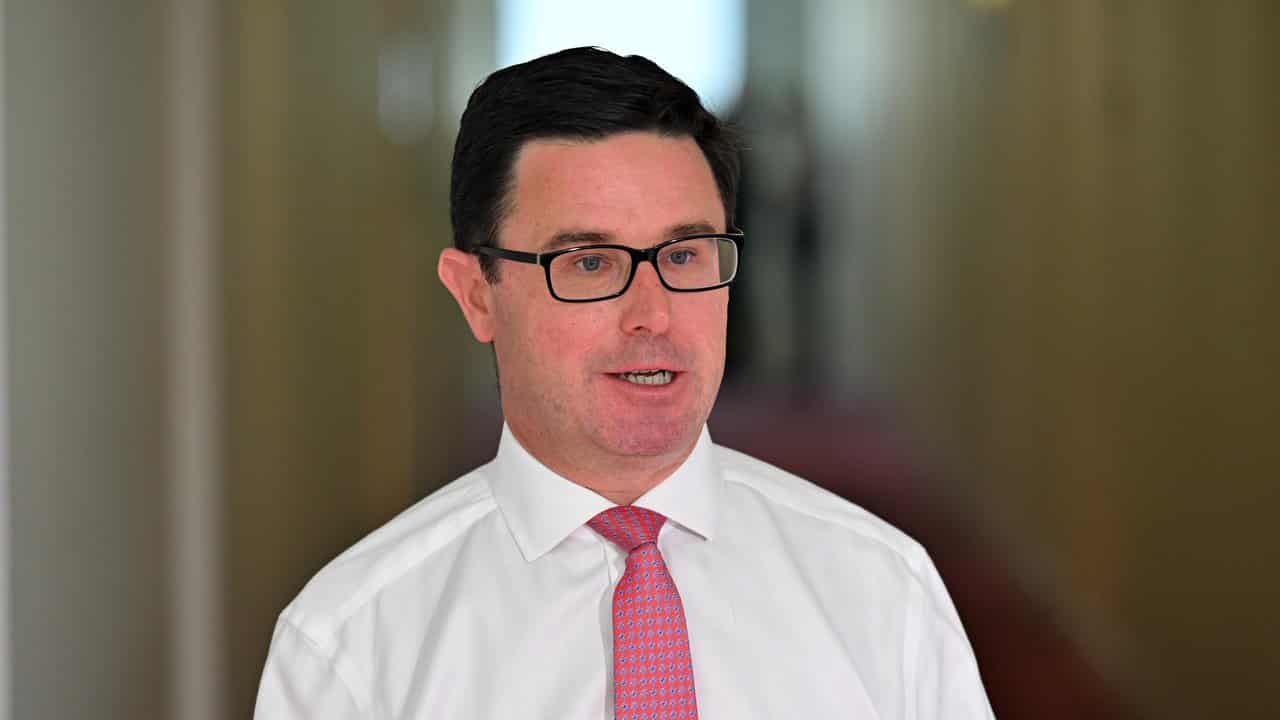 Nationals leader David Littleproud (file image)