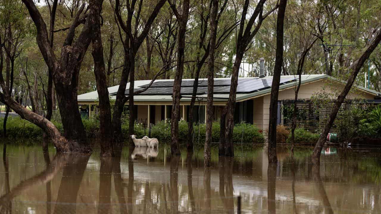 Flooding has hit a large swathe of Victoria.