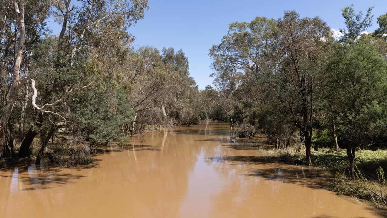 The flooded Yea river in Yea, Victoria.