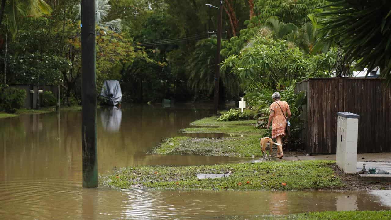 Woman walks her dog past floodwaters in Cairns in December 2023.