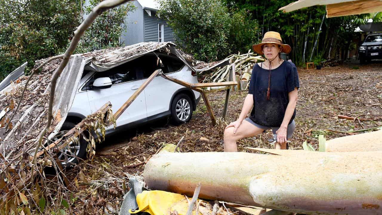 Pamella Wardell's in her yard at Mount Tamborine.