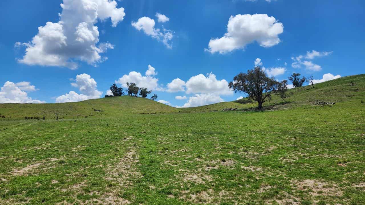 Uungula Wind Farm site