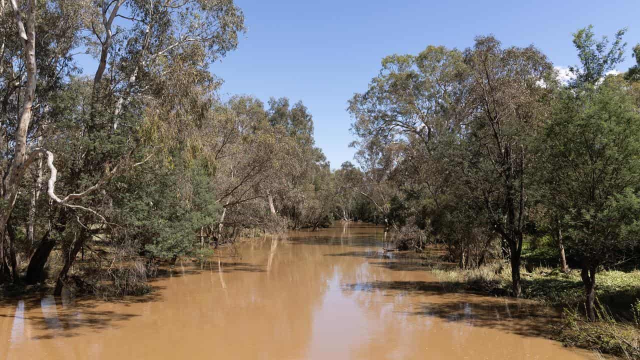 Yea River in Victoria swollen after heavy rain.