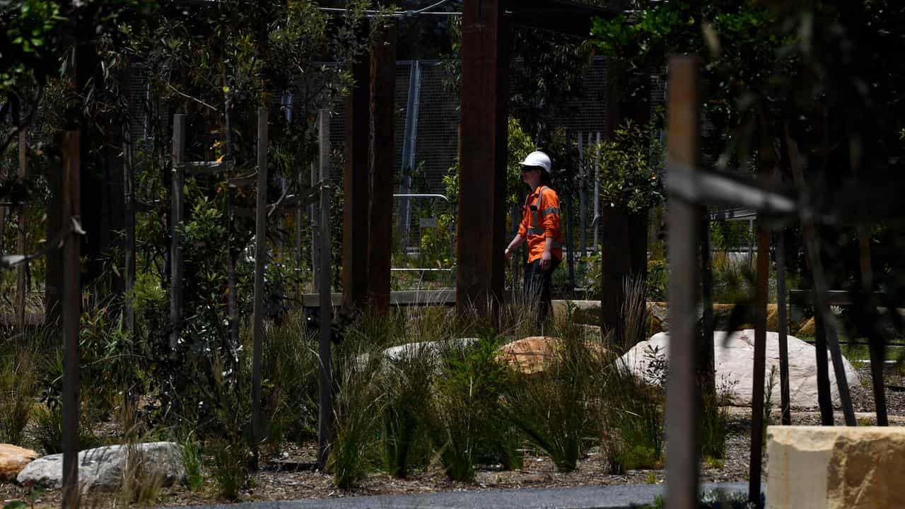 Worker in Rozelle Playgrounds