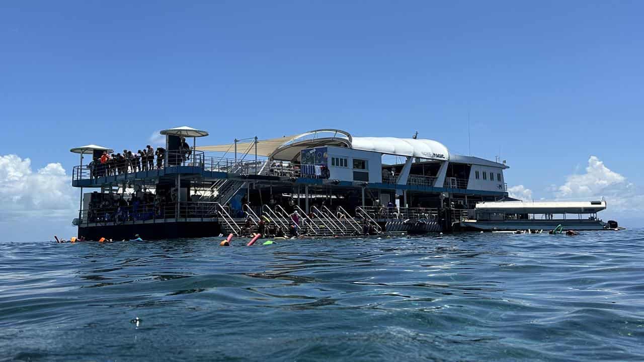 The Reef Magic pontoon at Moore Reef