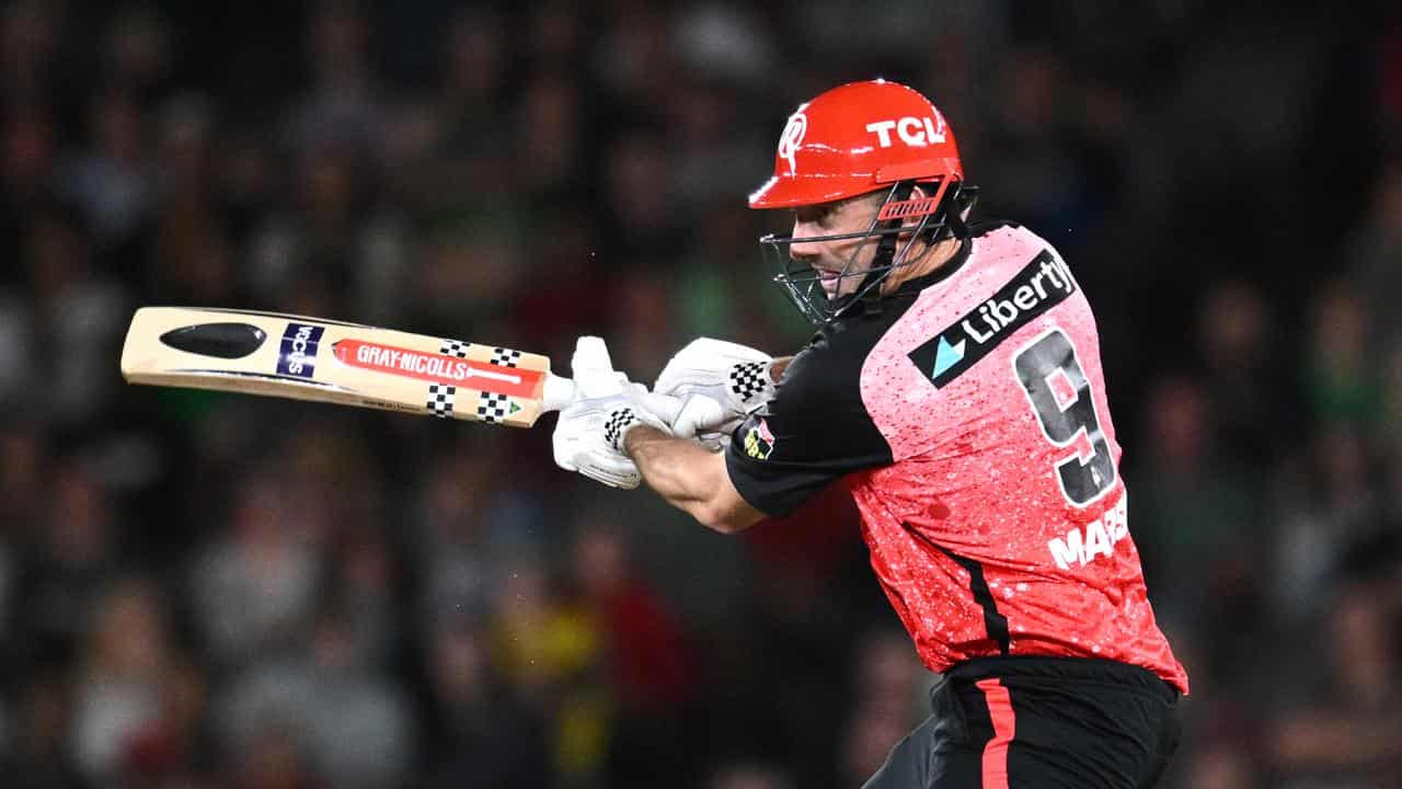 Shaun Marsh bats for the Renegades against the Stars.