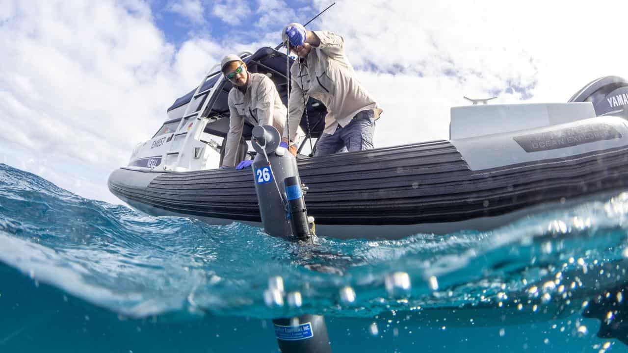 Minderoo Foundation researchers collect sea water for DNA analysis