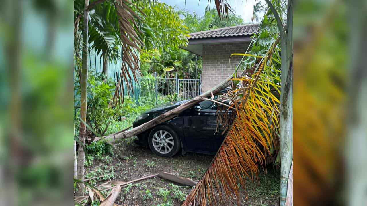 A tree fallen on a car in a Darwin backyard