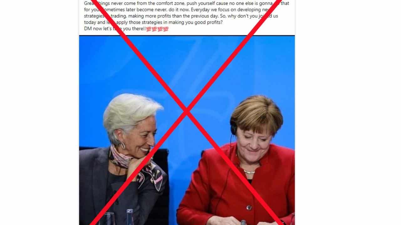 Merkel fake