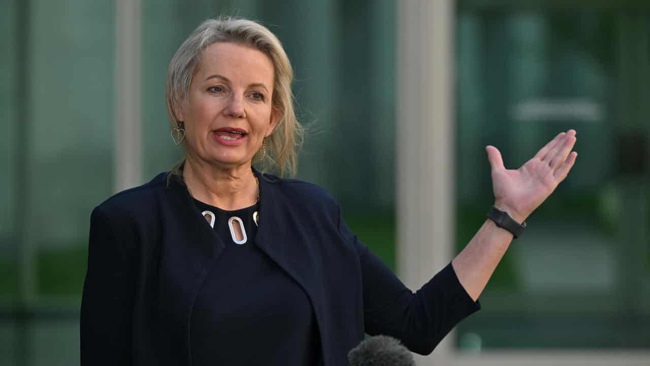 Deputy opposition leader Sussan Ley (file image)