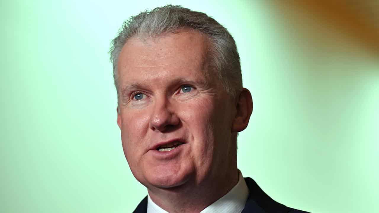 A file photo of Tony Burke 