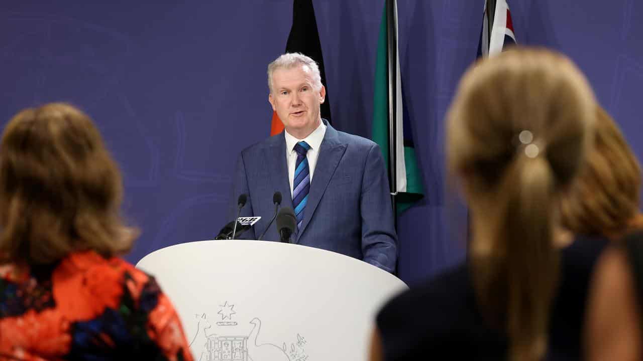 Minister for Employment and Workplace Relations Tony Burke