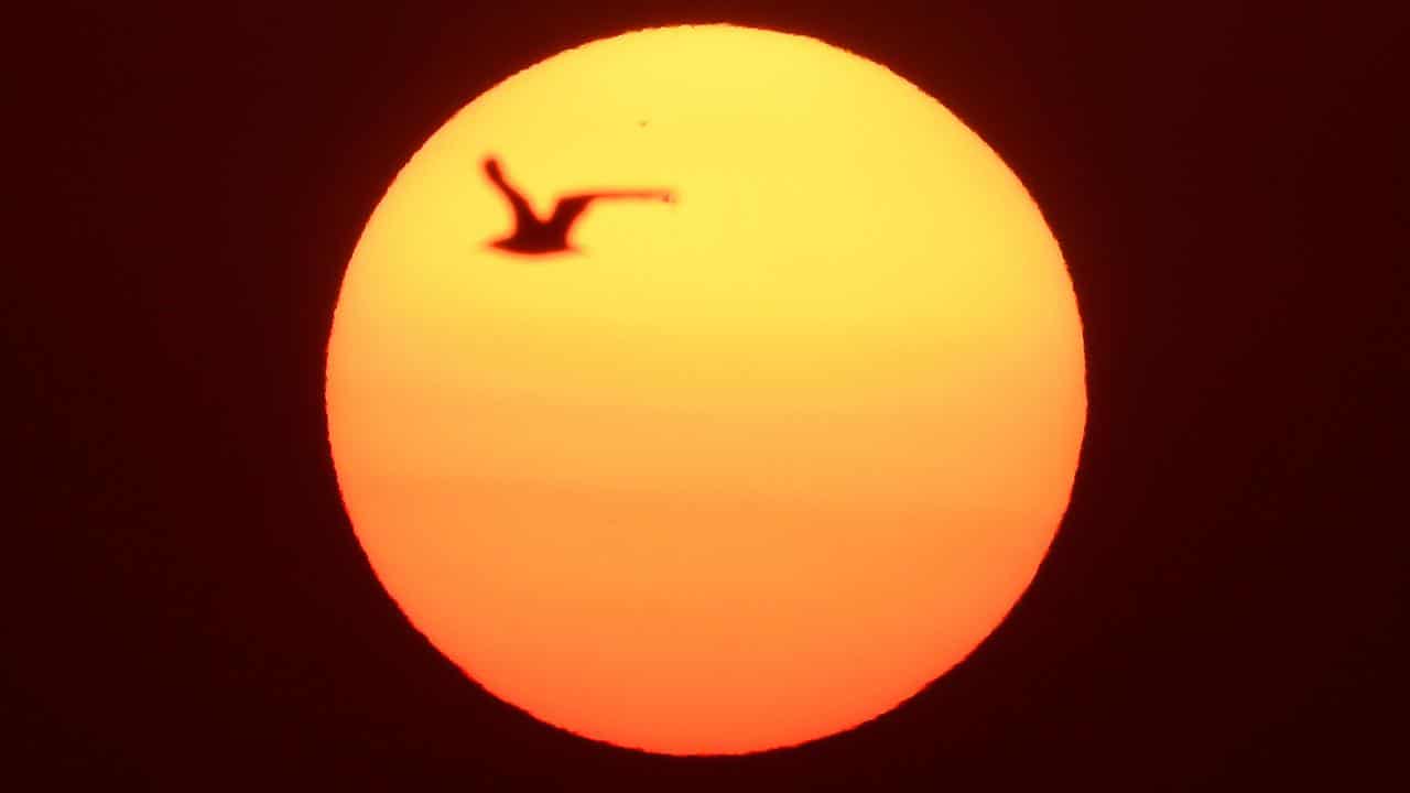 A file photo of the sun 