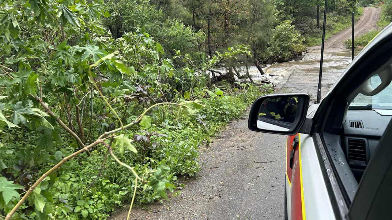 A fallen tree and water running down the road after Cyclone Kirrily