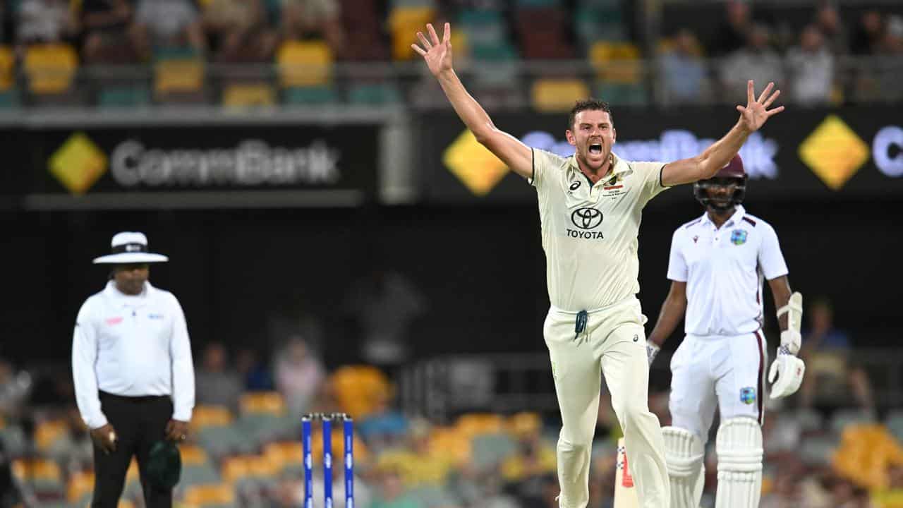 Wicket for Hazlewood