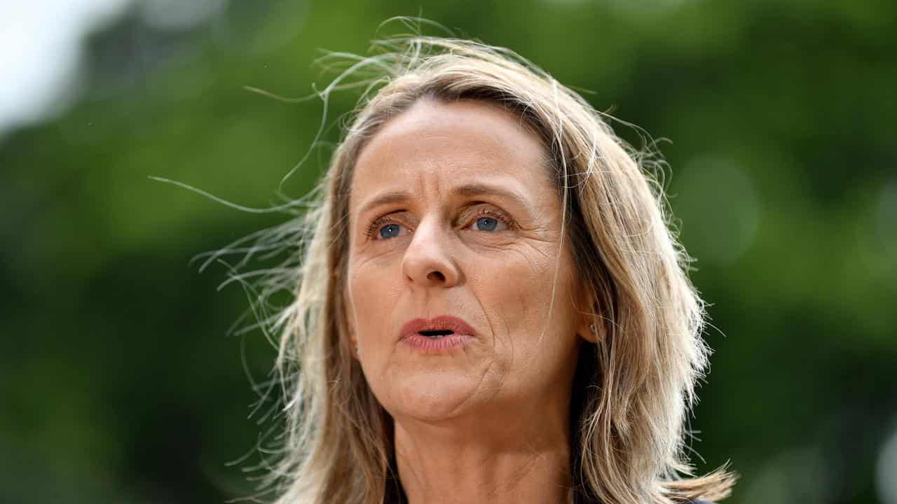 NSW Greens Sue Higginson (file image)