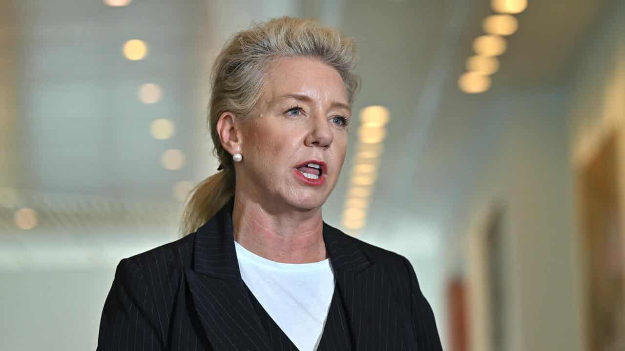 Bridget McKenzie