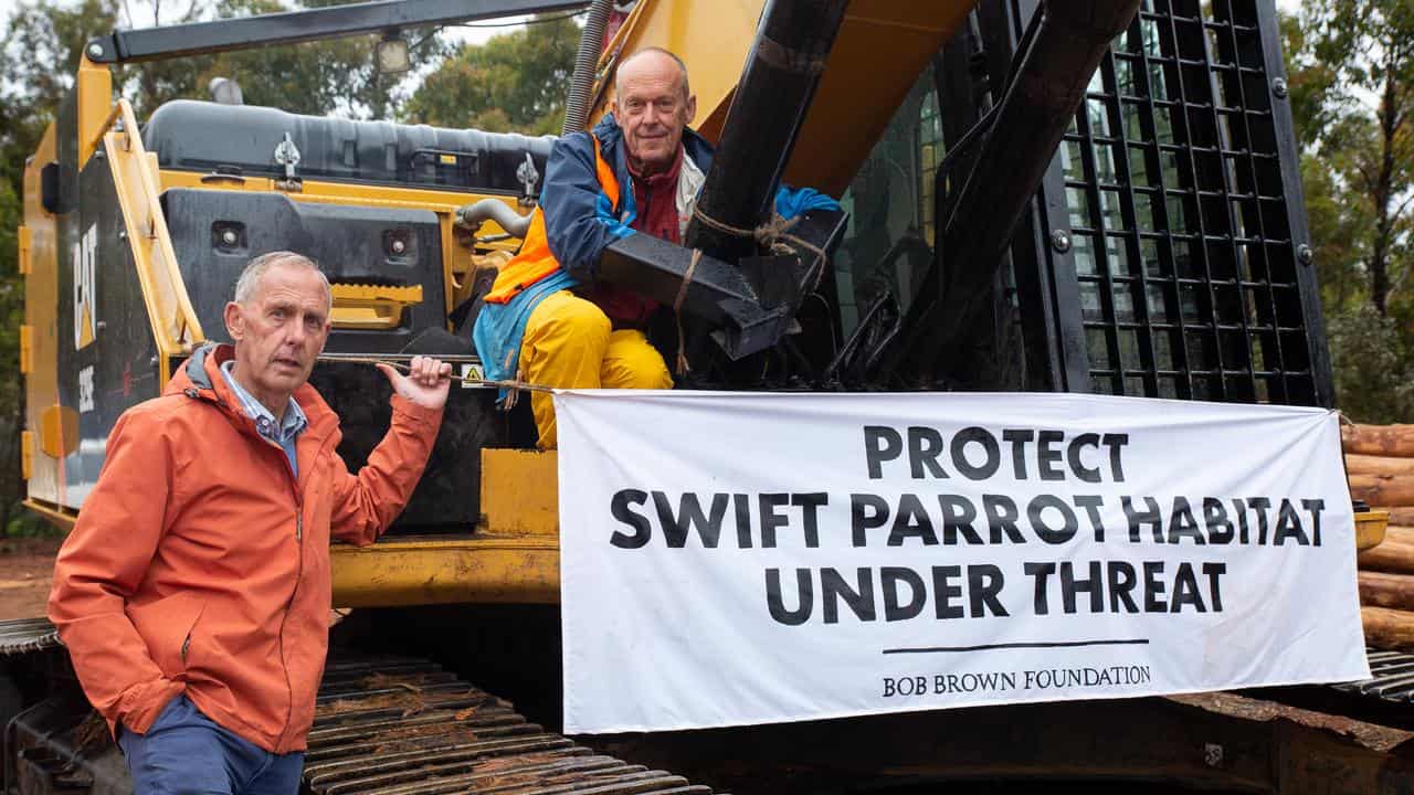 Bob Brown (left) in forest protest (file image)