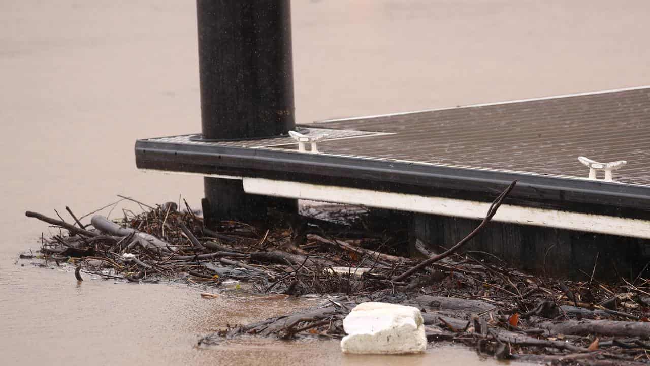 Debris in the Tweed River at the town of Tumbulgum