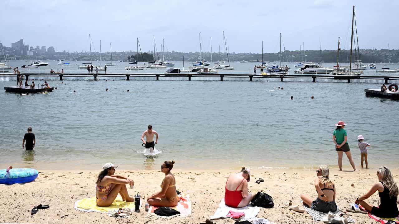 People taking a dip at Sydney Harbour