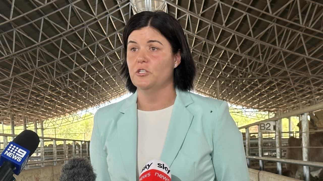 Ex-NT Chief Minister Natasha Fyles (file image)