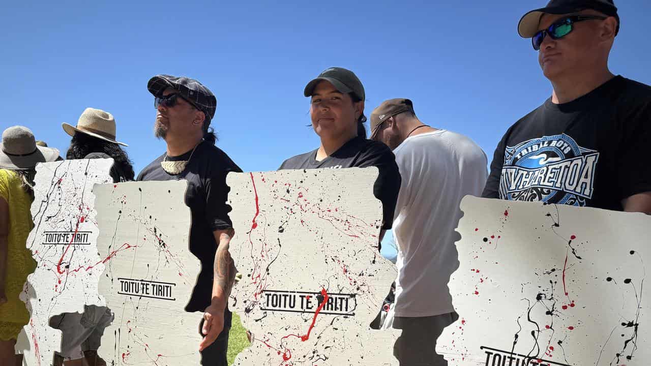 NZ Waitangi protest 