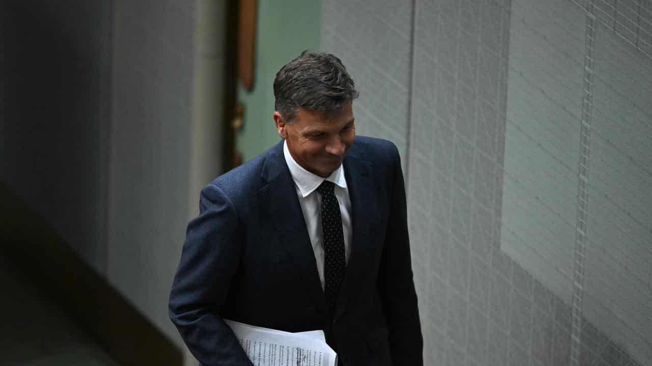 Shadow treasurer Angus Taylor