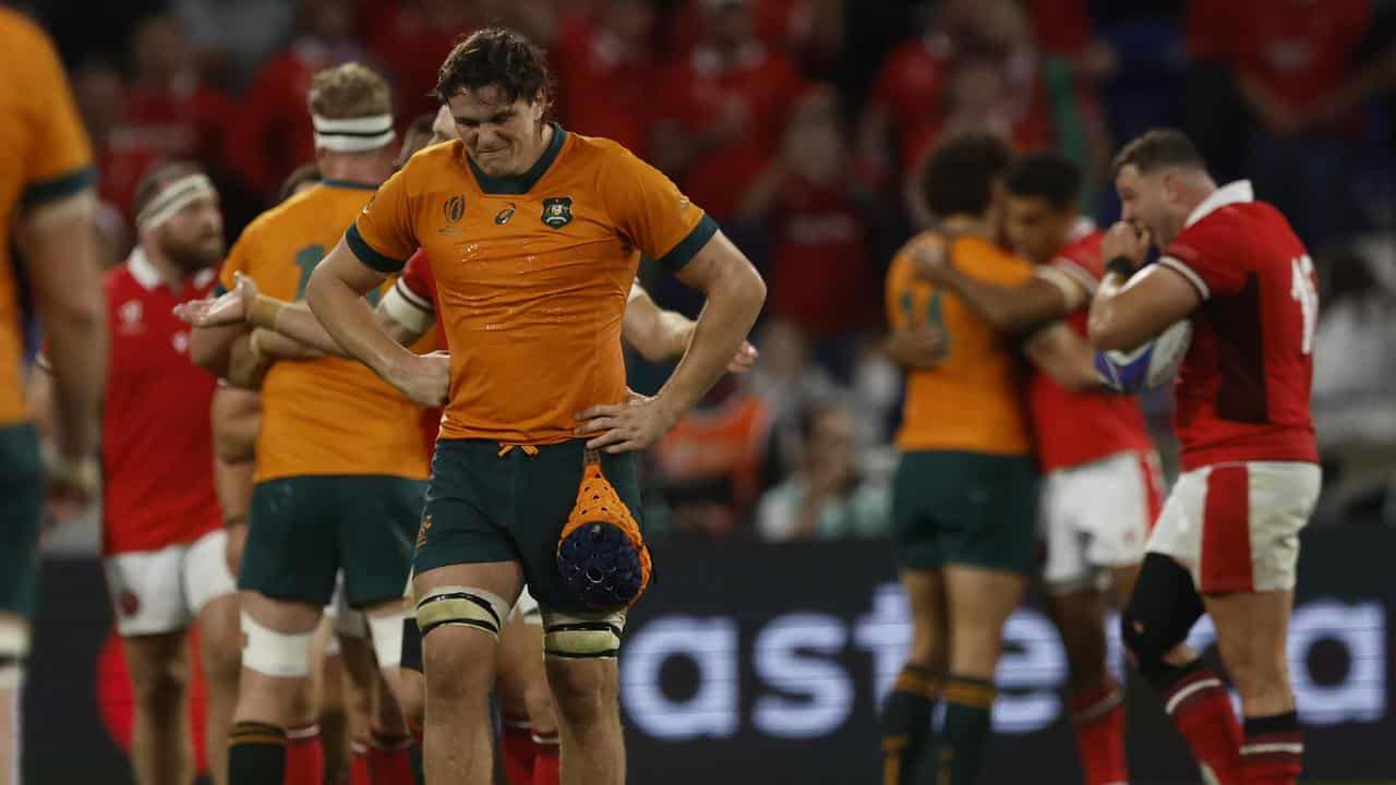 Disappointed Wallabies players.