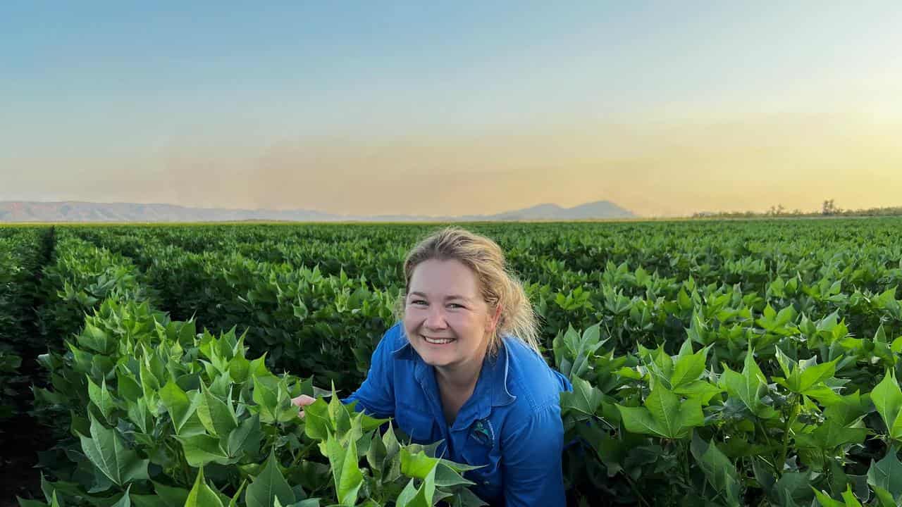 Sharna Coleman inspecting a cotton crop in Kununurra.