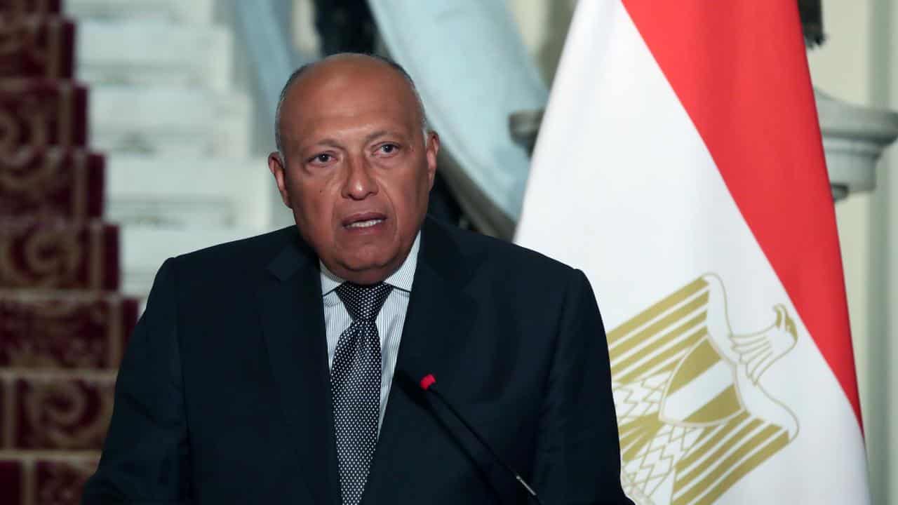 Egypt's Foreign Minister Sameh Shoukry